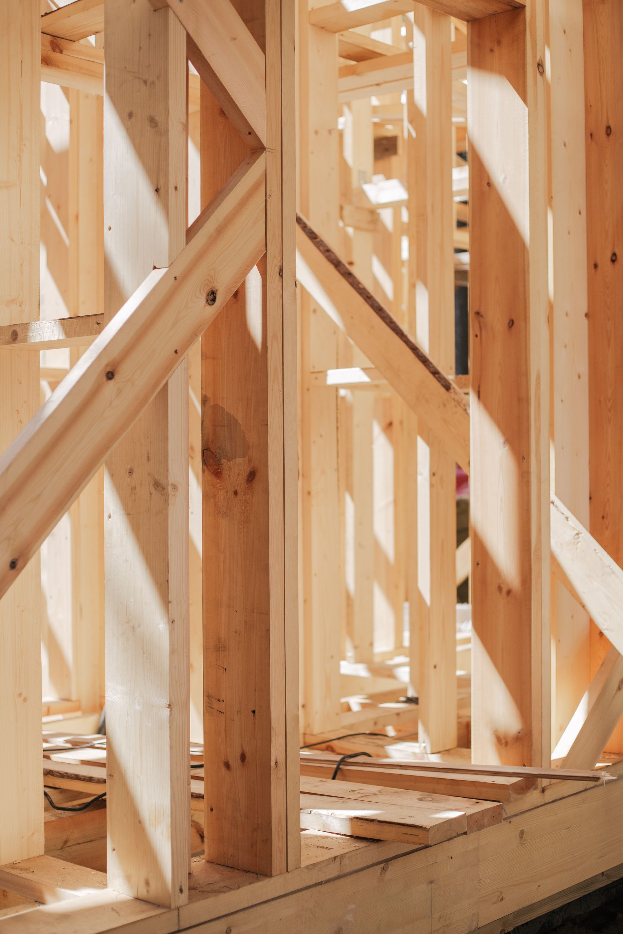Exposed timber roof framework under construction
